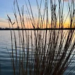 Schlei-fels In An Der Schlei
