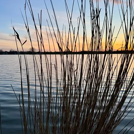 Schlei-fels In An Der Schlei